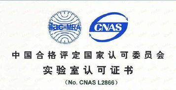 CNAS认可的专业咨询单位机构在软件开发领域的作用