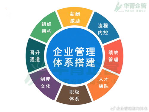 东莞电商行业管理体系落地咨询机构推荐与软件开发建议
